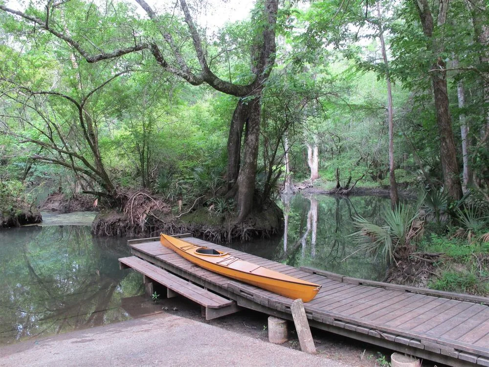 Kayak and river access along the Chipola River